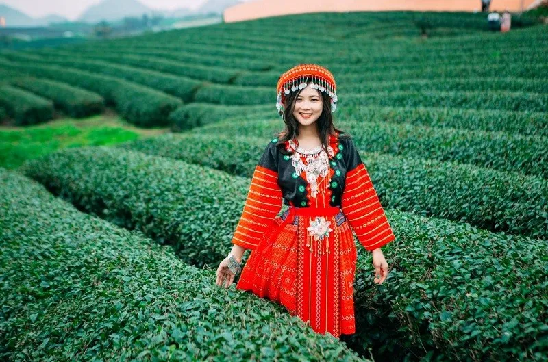 Khám Phá Mộc Châu – Cầu Kính Bạch Long 2 ngày 1 đêm · ảnh 7