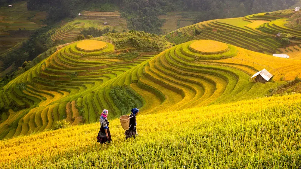 Tour Hà Nội - Sapa - Cát Cát - Hàm Rồng - Fansipan 2 ngày 2 đêm · ảnh 16