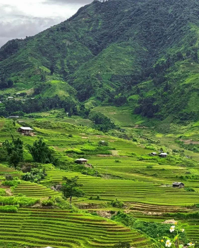 Tour Mù Cang Chải – Trạm Tấu – Tà Xùa 3N2Đ · ảnh 3