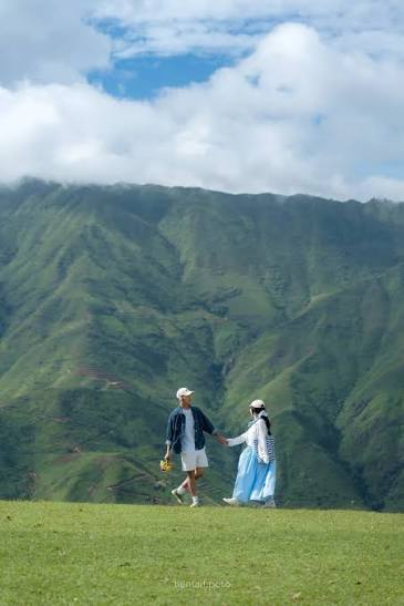 Tour Săn Mây Tà Xùa - Thảo Nguyên - Cây Cô Đơn · ảnh 2