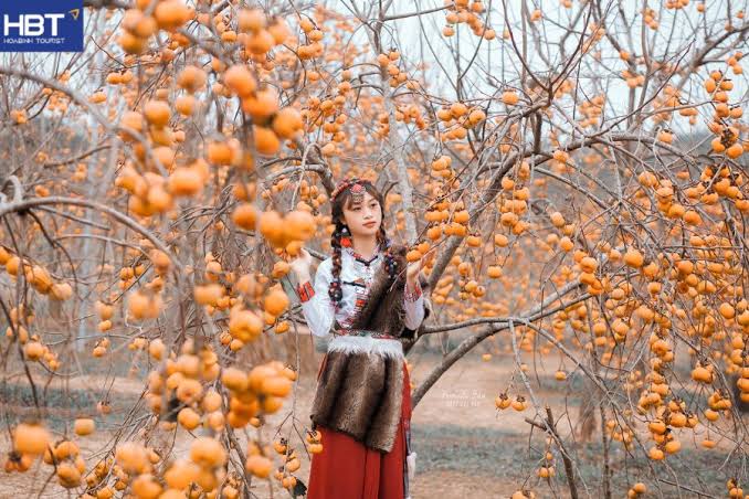 Tour Mộc Châu 2 ngày 1 đêm khám phá đồi cỏ hồng và săn mây Pa Phách · ảnh 15