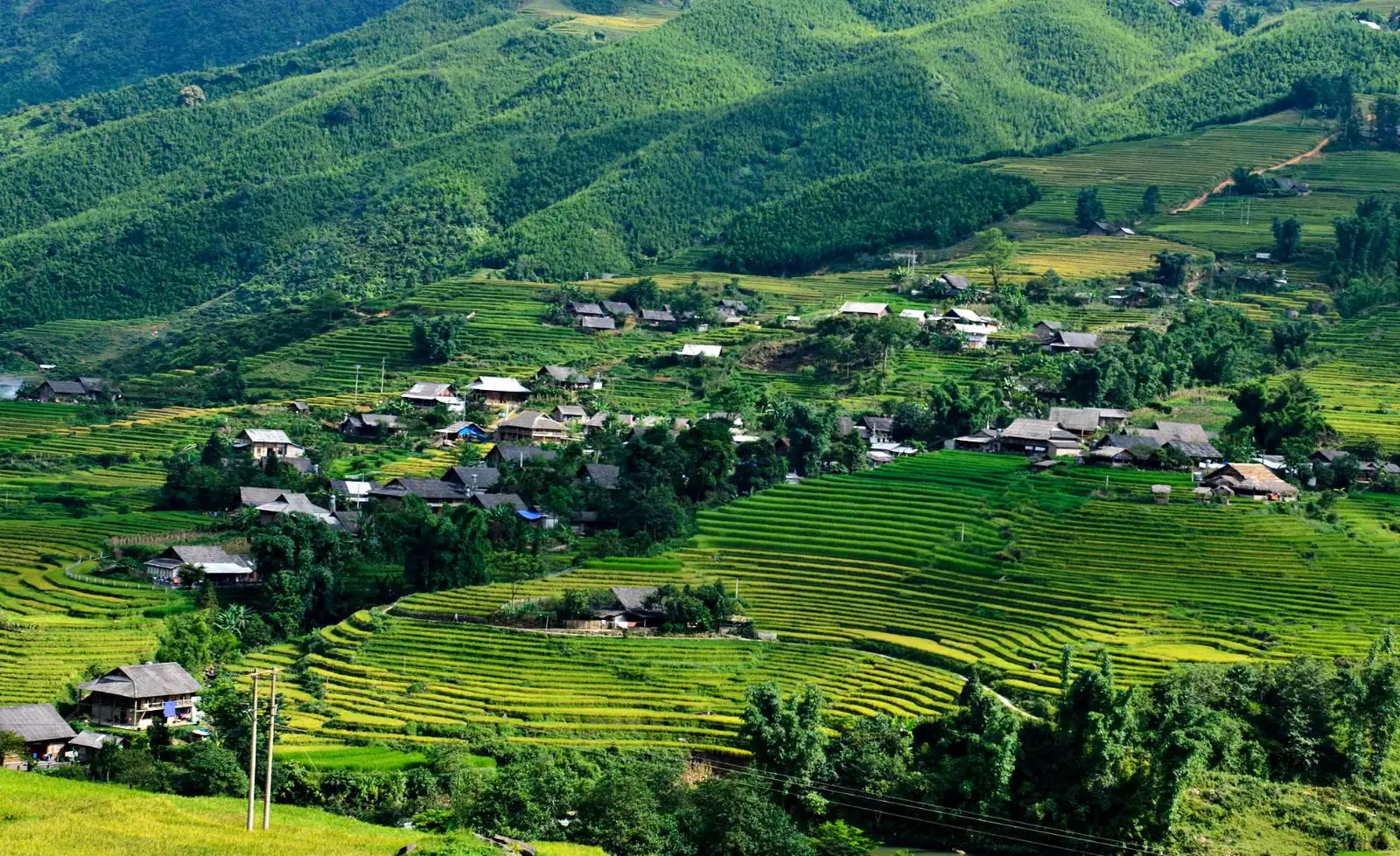 Tour Sapa 3 Ngày 2 Đêm: Khám Phá Bản Cát Cát, Lao Chải, Tả Van và Fansipan · ảnh 4