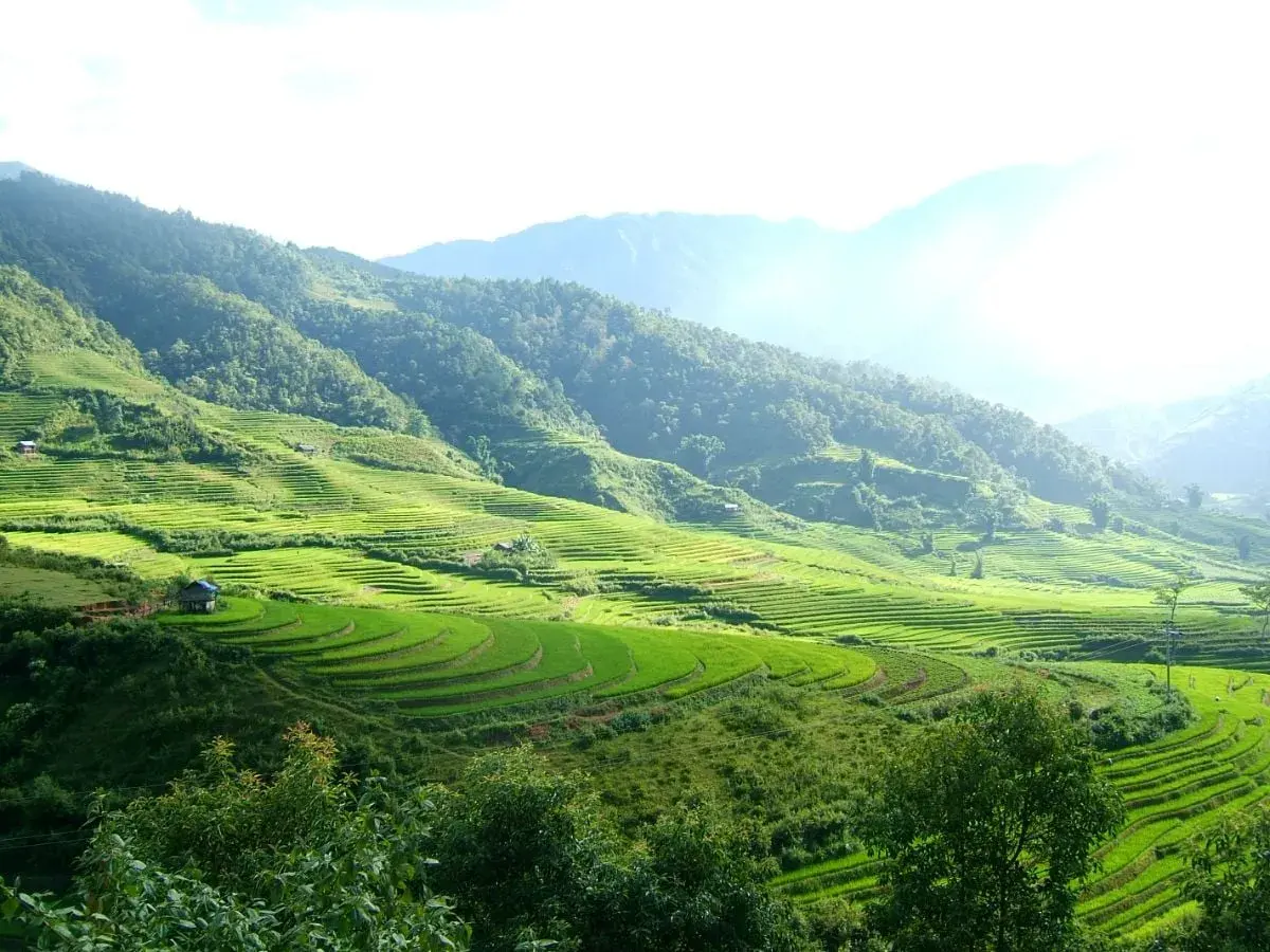 Tour Mù Cang Chải – Trạm Tấu – Tà Xùa 3N2Đ · ảnh 6