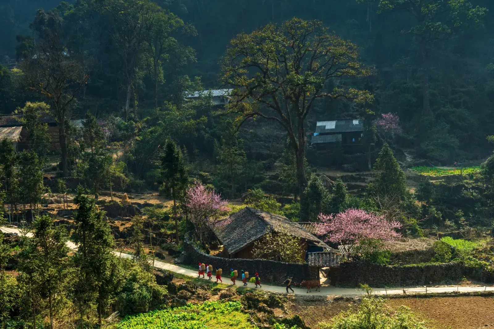 Hà Giang - Cao Nguyên Đá Đồng Văn 3 ngày 2 đêm · ảnh 3