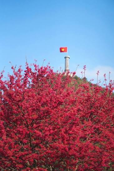 Tour Hà Nội - Hà Giang - Đèo Mã Pì Lèng - Cột Cờ Lũng Cú - Lô Lô Chải · ảnh 6