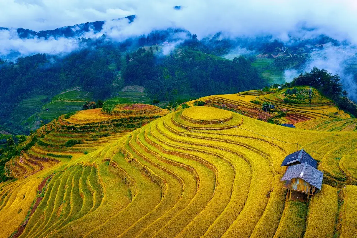 Tour Mù Cang Chải – Trạm Tấu – Tà Xùa 3N2Đ · ảnh 14
