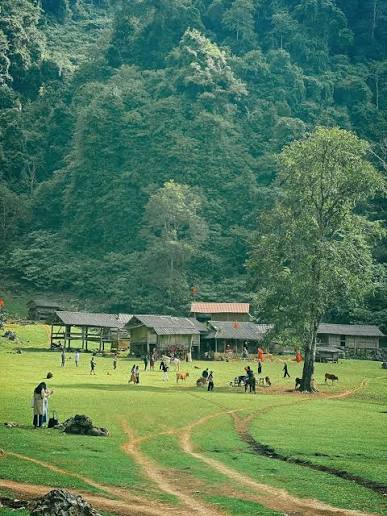 Tour Mộc Châu 2 ngày 1 đêm khám phá đồi cỏ hồng và săn mây Pa Phách · ảnh 5