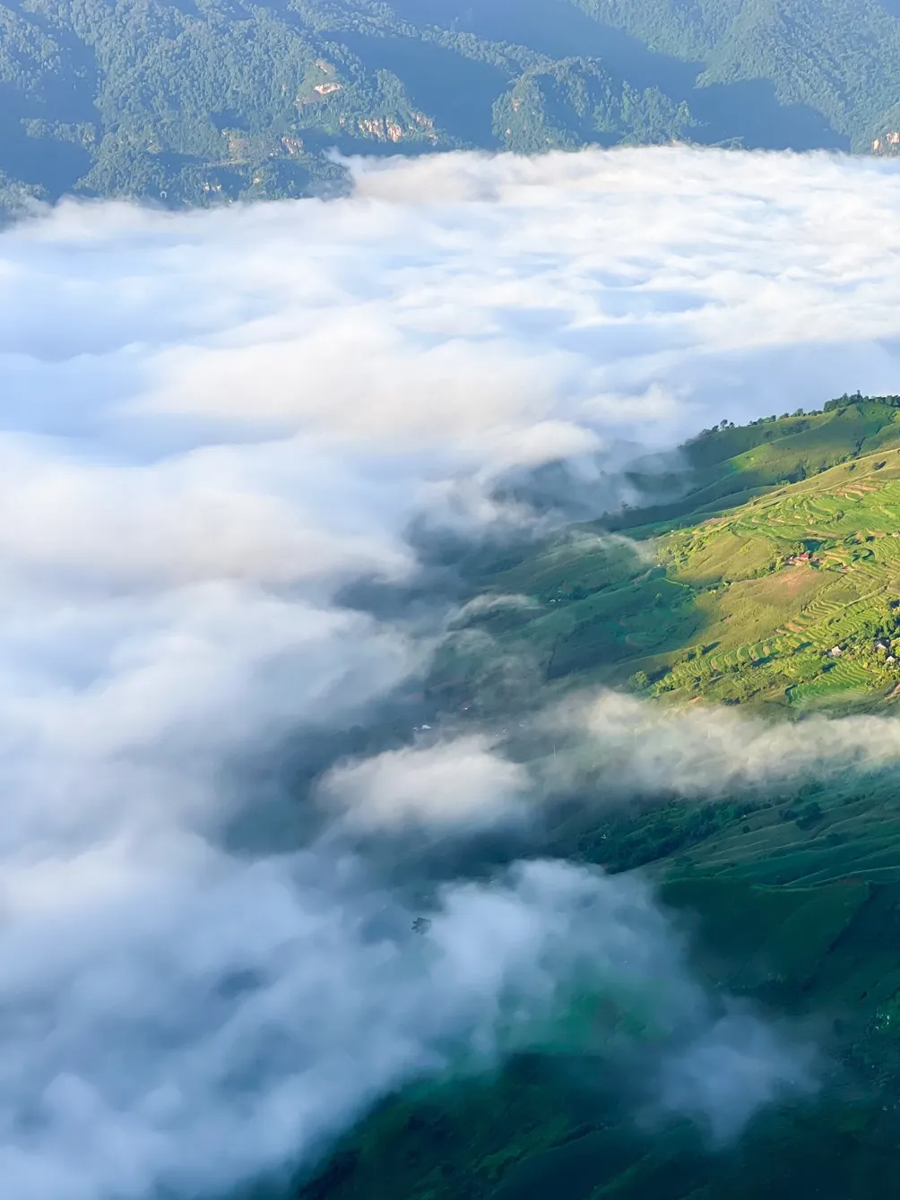 Tour Mộc Châu 2 ngày 1 đêm khám phá đồi cỏ hồng và săn mây Pa Phách · ảnh 7