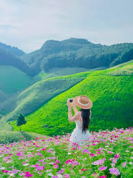 Tour Mộc Châu 2 ngày 1 đêm khám phá đồi cỏ hồng và săn mây Pa Phách · ảnh 18