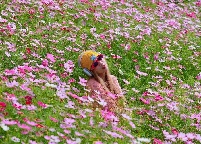 Tour Mộc Châu 2 ngày 1 đêm khám phá đồi cỏ hồng và săn mây Pa Phách · ảnh 20