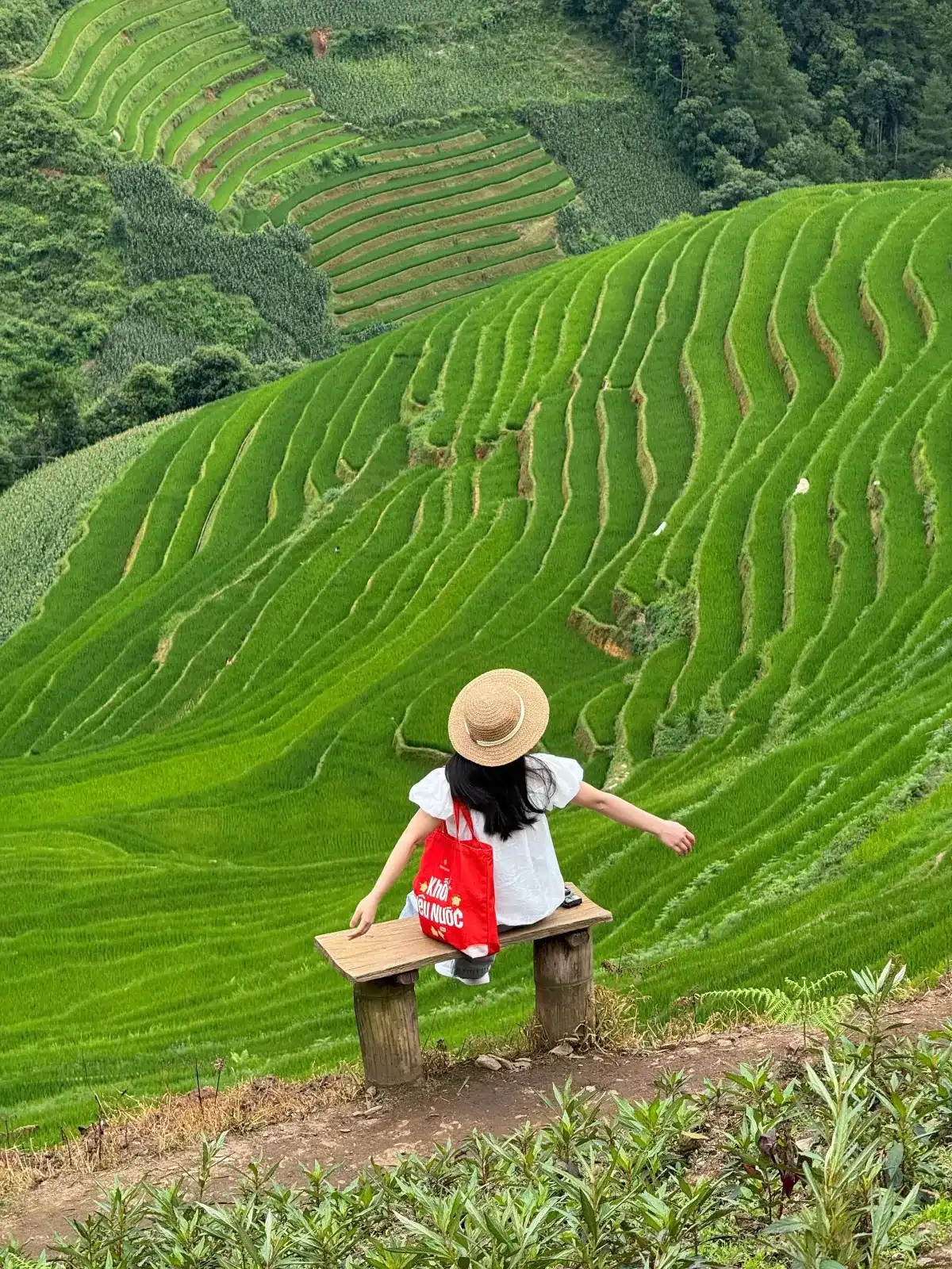 Tour Mù Cang Chải – Trạm Tấu – Tà Xùa 3N2Đ · ảnh 17