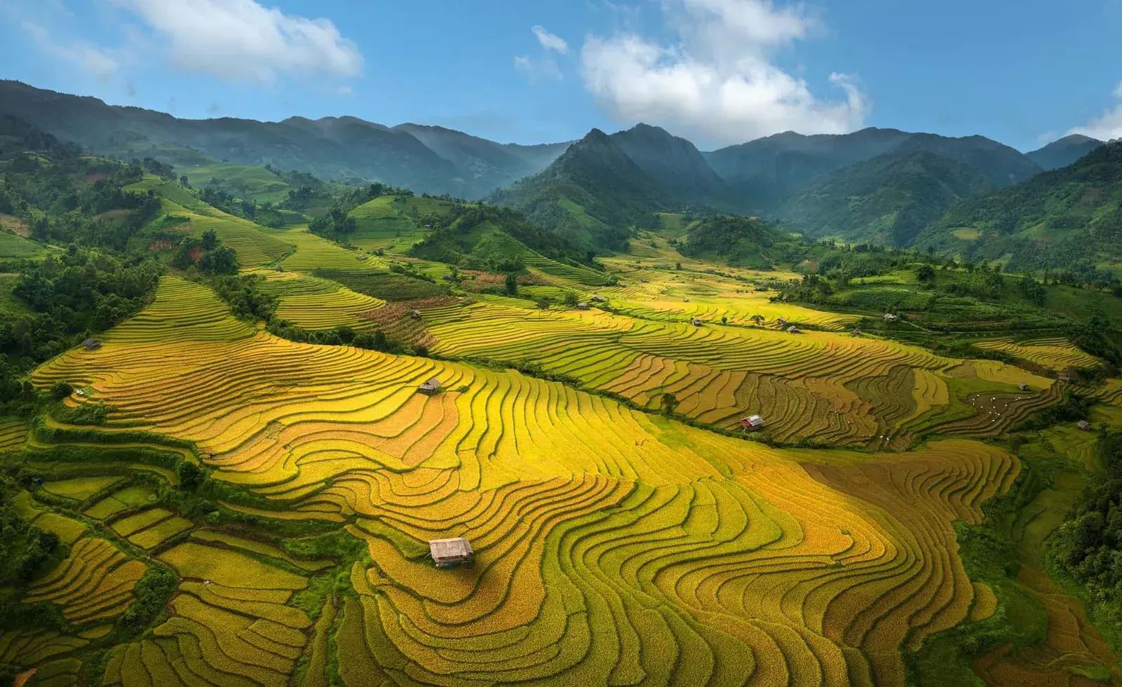 Tour Hà Nội - Sapa - Cát Cát - Hàm Rồng - Fansipan 2 ngày 2 đêm · ảnh 14