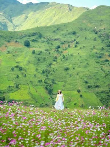 Tour Săn Mây Tà Xùa - Thảo Nguyên - Cây Cô Đơn · ảnh 4