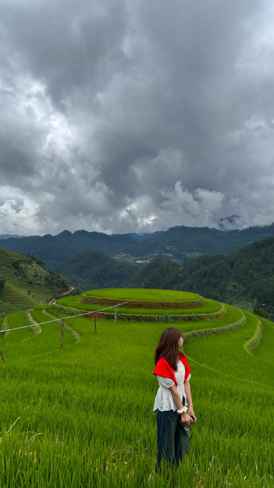 Tour Mù Cang Chải - Đèo Khau Phạ - Rừng Trúc · ảnh 5
