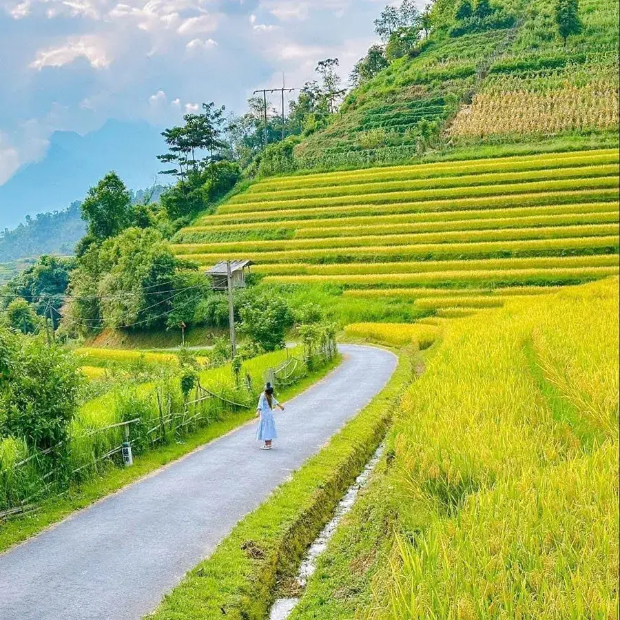 Tour Mù Cang Chải – Trạm Tấu – Tà Xùa 3N2Đ · ảnh 2