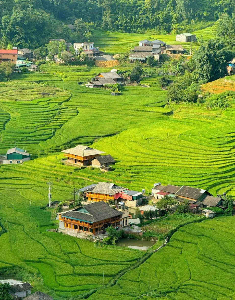 Tour Sapa 3 Ngày 2 Đêm: Khám Phá Bản Cát Cát, Lao Chải, Tả Van và Fansipan · ảnh 2