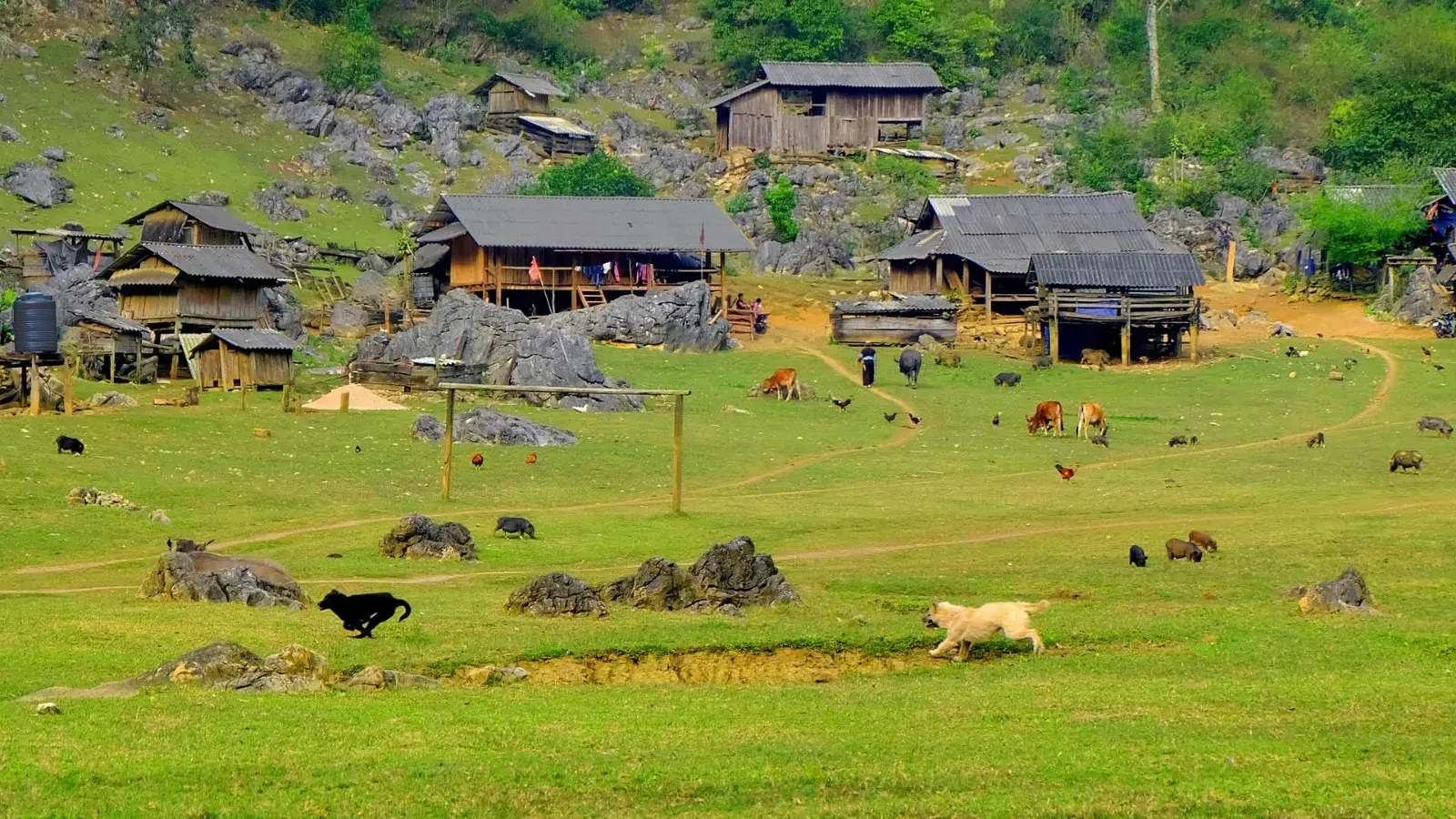 Tour Mộc Châu 2 ngày 1 đêm khám phá đồi cỏ hồng và săn mây Pa Phách · ảnh 6