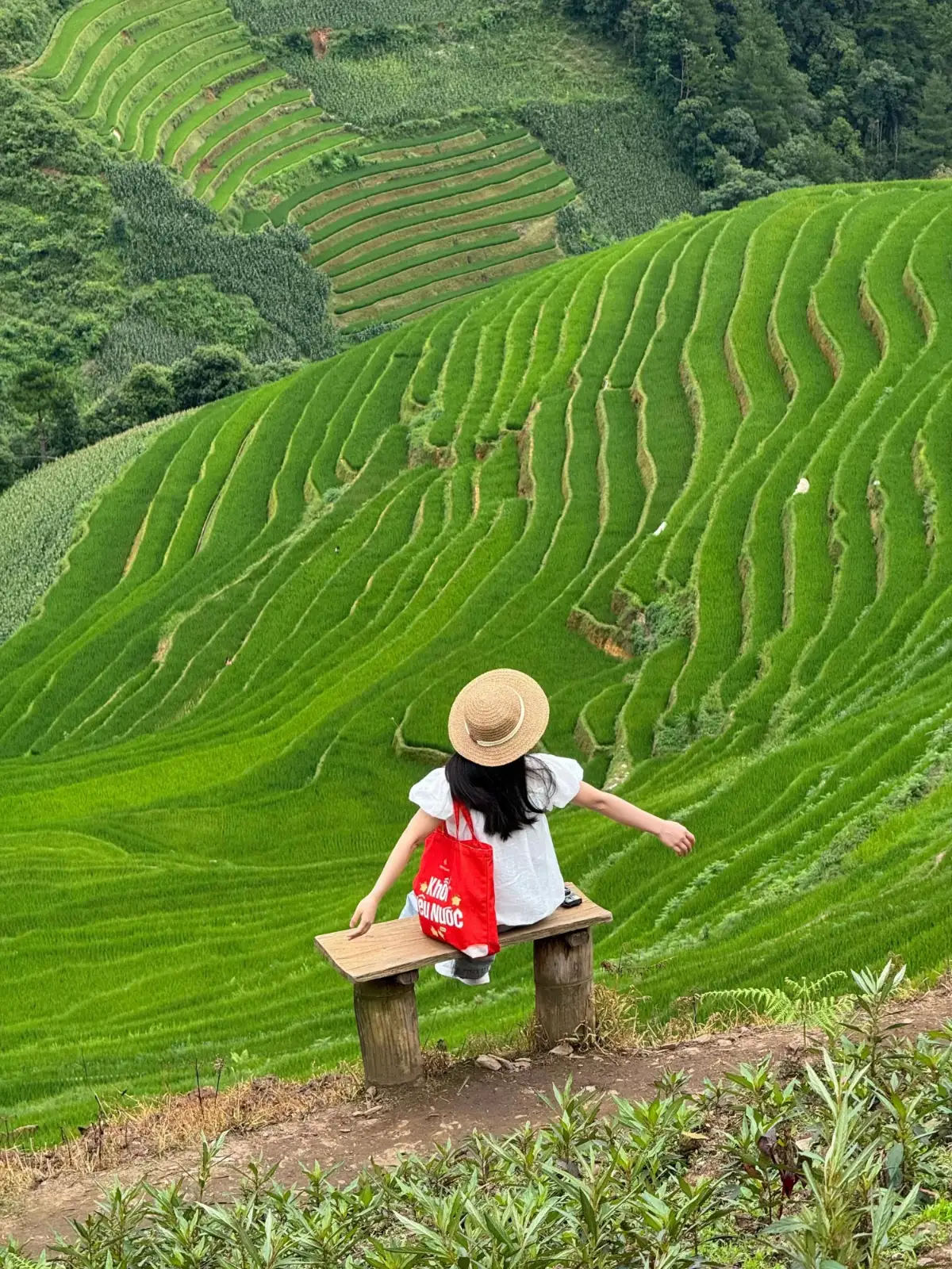 Tour Mù Cang Chải - Đèo Khau Phạ - Rừng Trúc · ảnh 6