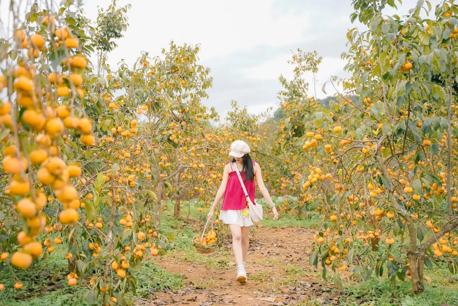 Tour Mộc Châu 2 ngày 1 đêm khám phá đồi cỏ hồng và săn mây Pa Phách · ảnh 16
