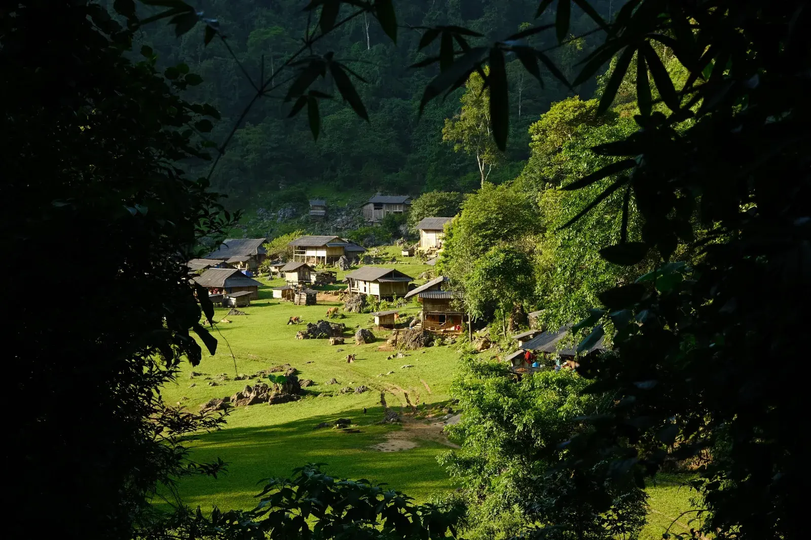 Tour Mộc Châu 2 ngày 1 đêm khám phá đồi cỏ hồng và săn mây Pa Phách · ảnh 4