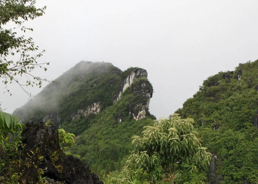 Tour Hà Nội - Sapa - Cát Cát - Hàm Rồng - Fansipan 2 ngày 2 đêm · ảnh 8