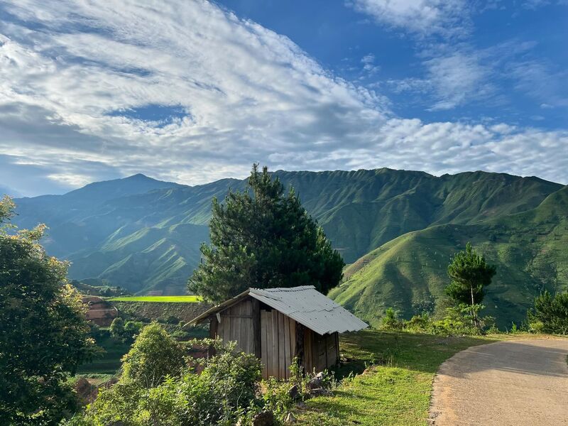 Tour Săn Mây Tà Xùa - Thảo Nguyên - Cây Cô Đơn · ảnh 10