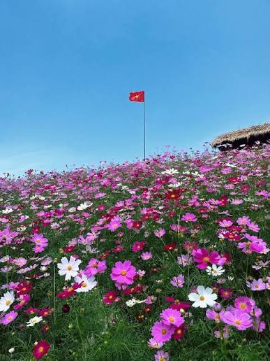 Tour Mộc Châu 2 ngày 1 đêm khám phá đồi cỏ hồng và săn mây Pa Phách · ảnh 19