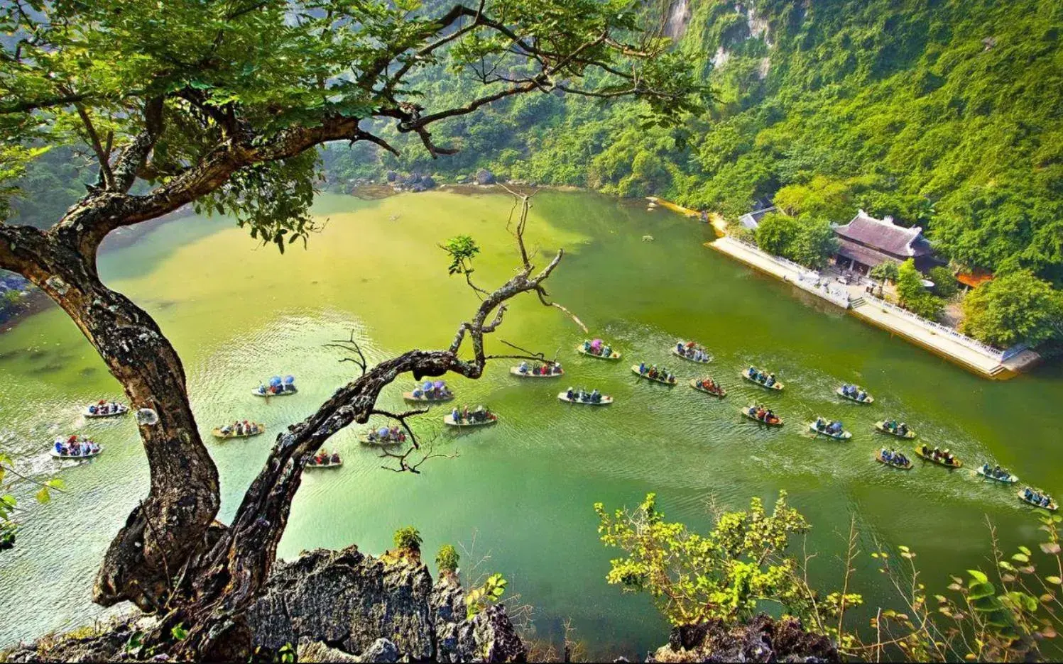 Tuyệt Tình Cốc – Tràng An – Hang Múa 1 Ngày · ảnh 4