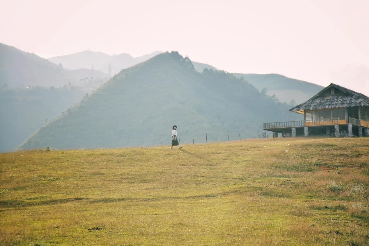 Tour Săn Mây Tà Xùa - Thảo Nguyên - Cây Cô Đơn · ảnh 7