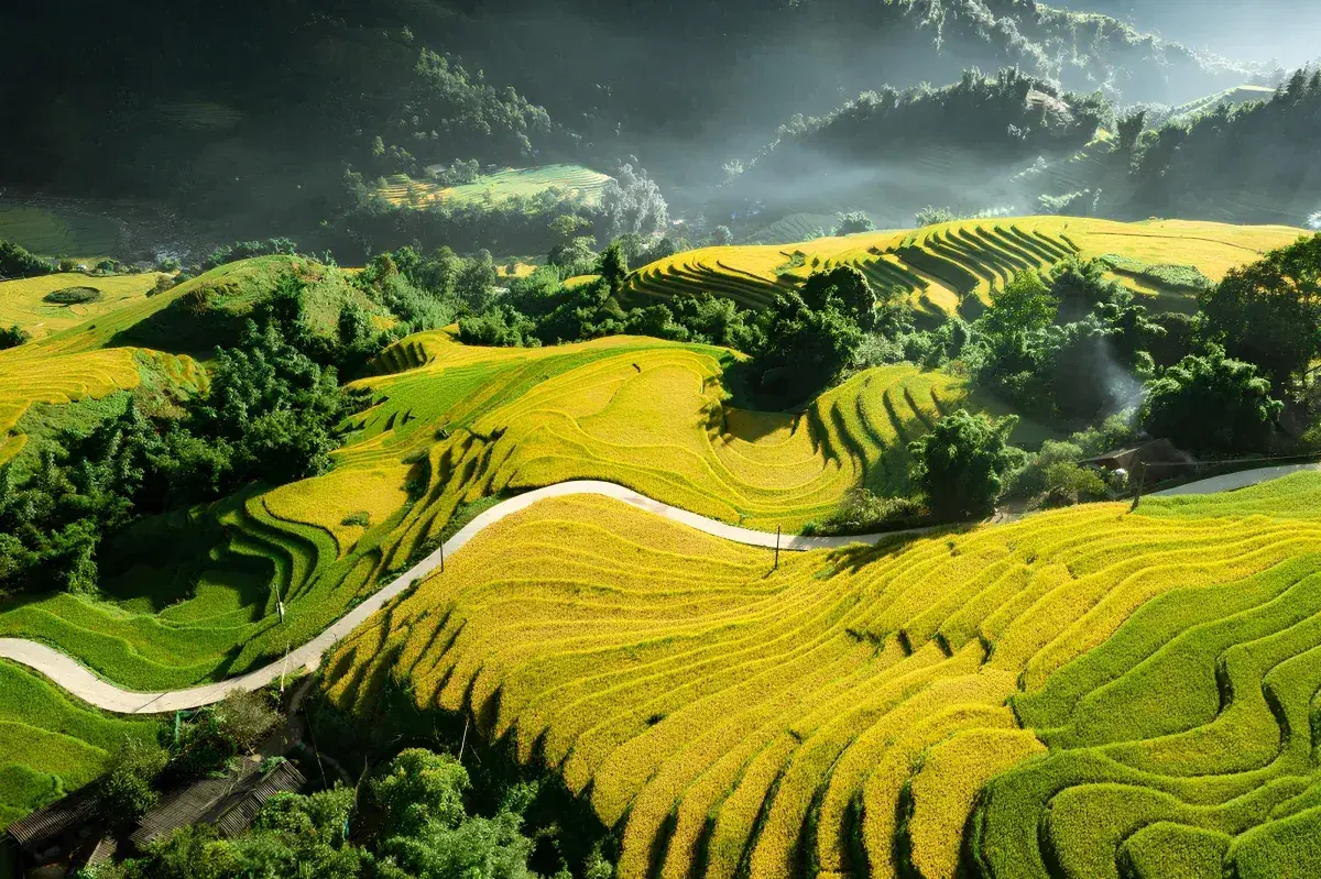 Tour Sapa 3 Ngày 2 Đêm: Khám Phá Bản Cát Cát, Lao Chải, Tả Van và Fansipan · ảnh 5