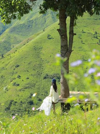 Tour Săn Mây Tà Xùa - Thảo Nguyên - Cây Cô Đơn · ảnh 3