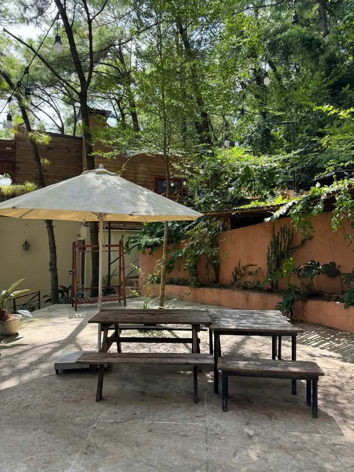 DE'BAY RETREAT - Nhà gỗ rừng thông, ảnh 1