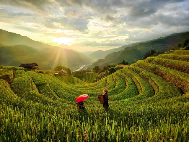 Tour Mù Cang Chải – Trạm Tấu – Tà Xùa 3N2Đ · ảnh 10