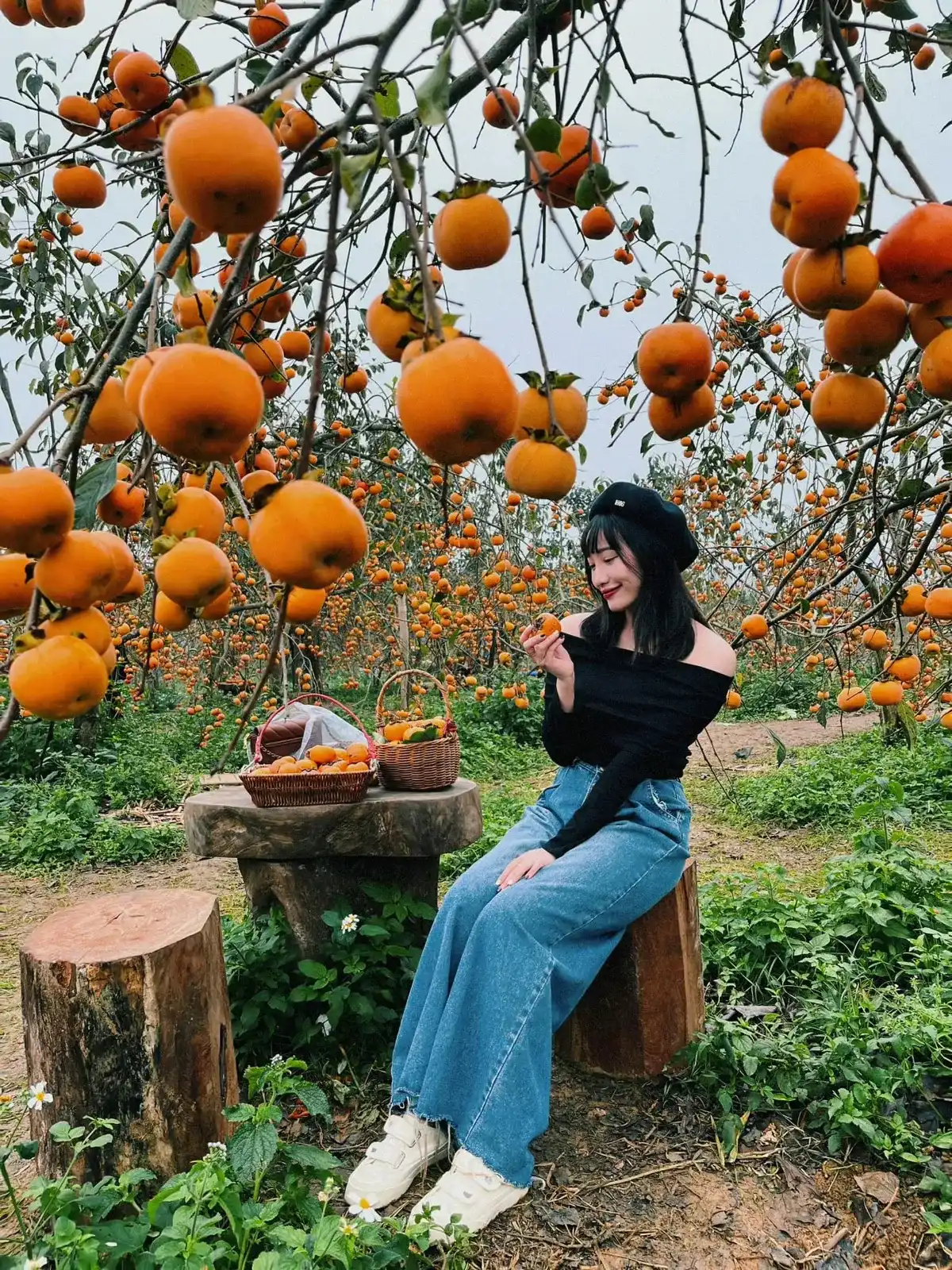 Tour Mộc Châu 2 ngày 1 đêm khám phá đồi cỏ hồng và săn mây Pa Phách · ảnh 17