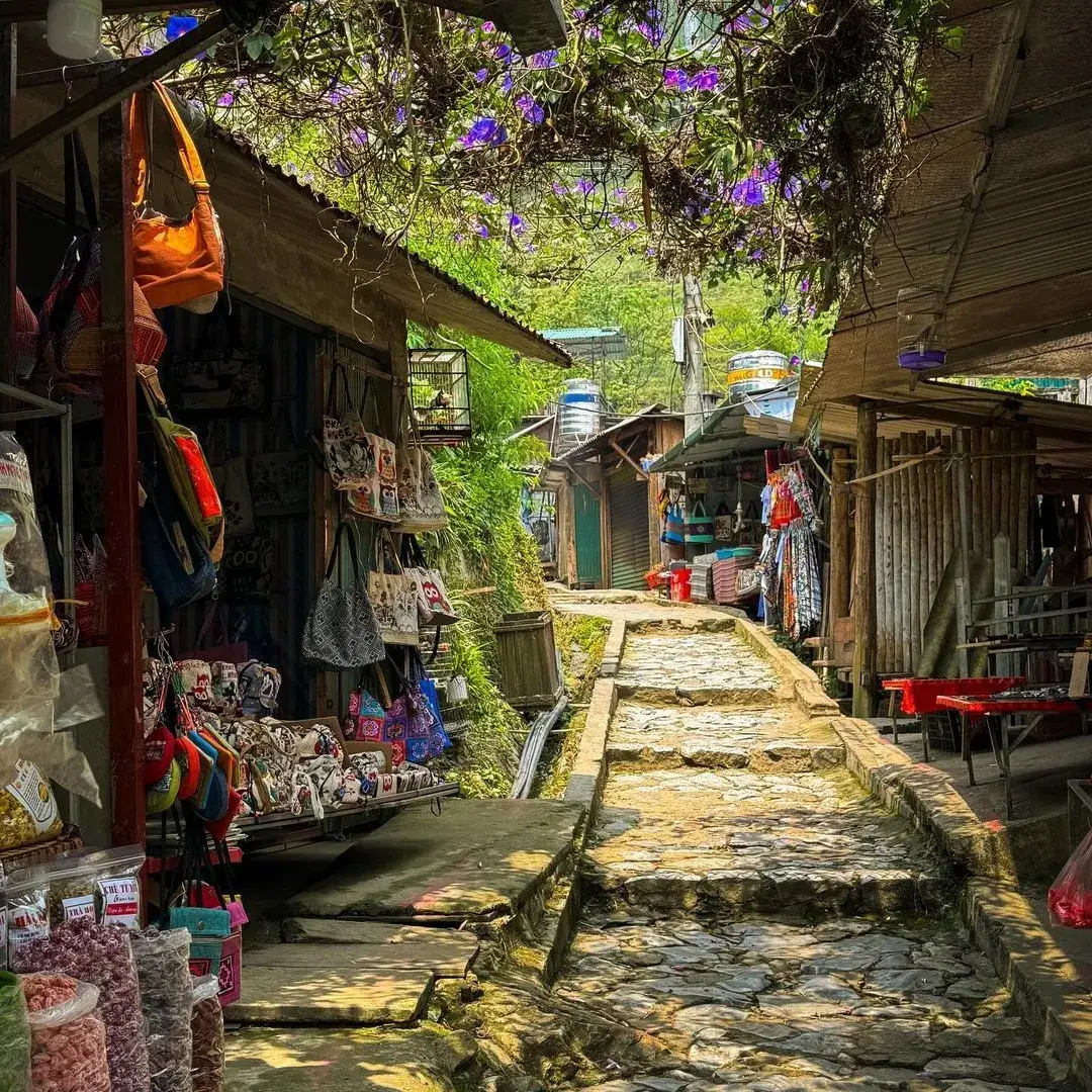 Tour Hà Nội - Sapa - Cát Cát - Hàm Rồng - Fansipan 2 ngày 2 đêm · ảnh 10