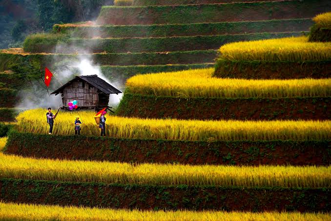 Tour Mù Cang Chải – Trạm Tấu – Tà Xùa 3N2Đ · ảnh 13