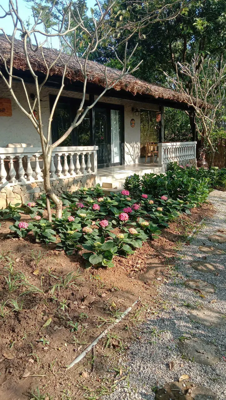 Một Đồng Quan - Một Yên, ảnh 1